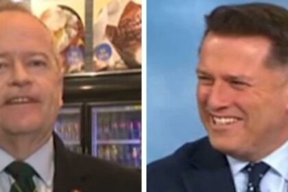 ‘Why not’: Karl Stefanovic loses it as NDIS Minister Bill Shorten admits he lets his dog see him naked