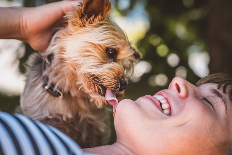 Top 10 Dog Breeds That Form The Strongest Bonds with Their
Owners