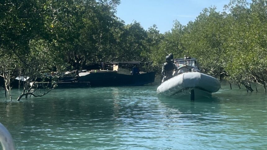 Border protection picks up illegal fishing boats on WA coast