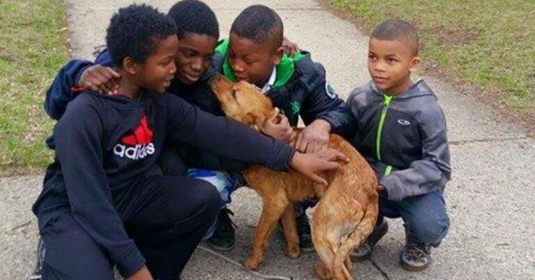 Boys Prove Where There Are Villians, There Are Heroes When
They Save This Dog