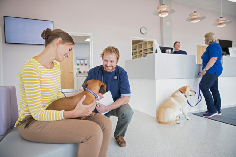 Can Another Person Bring My Pet to the Vet for Me? Vet
Approved Facts &amp; FAQ