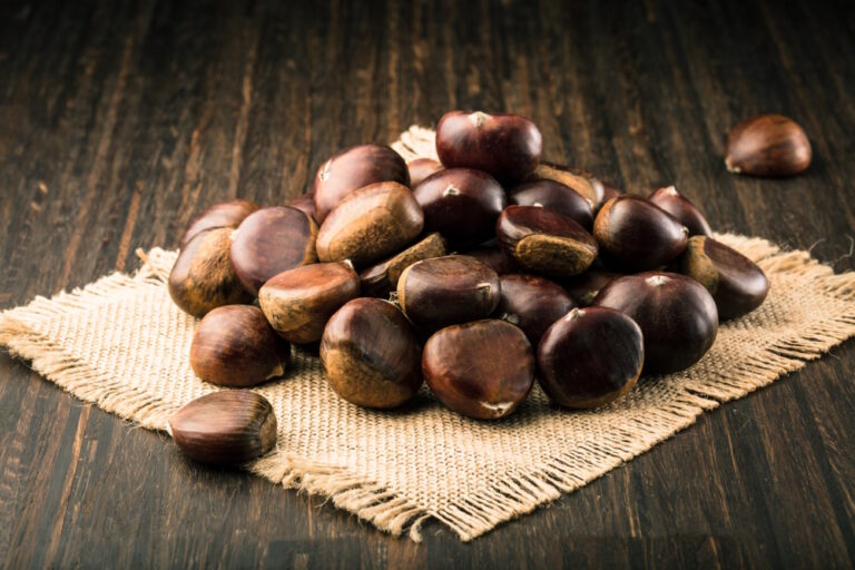 Can Dogs Eat Chestnuts? Vet-Verified Nutrition Facts
&amp; Info