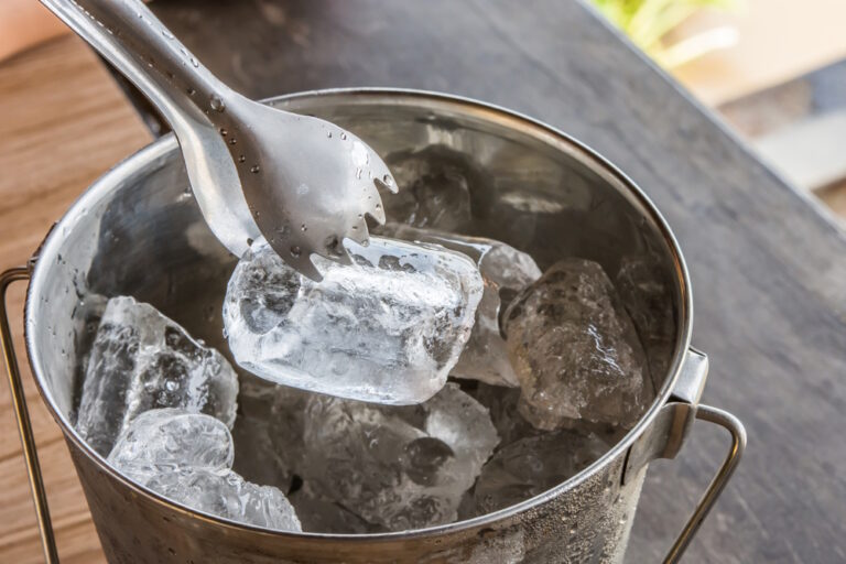 Can Dogs Eat Ice Cubes? Facts, Fun Ideas &amp;
Precautions