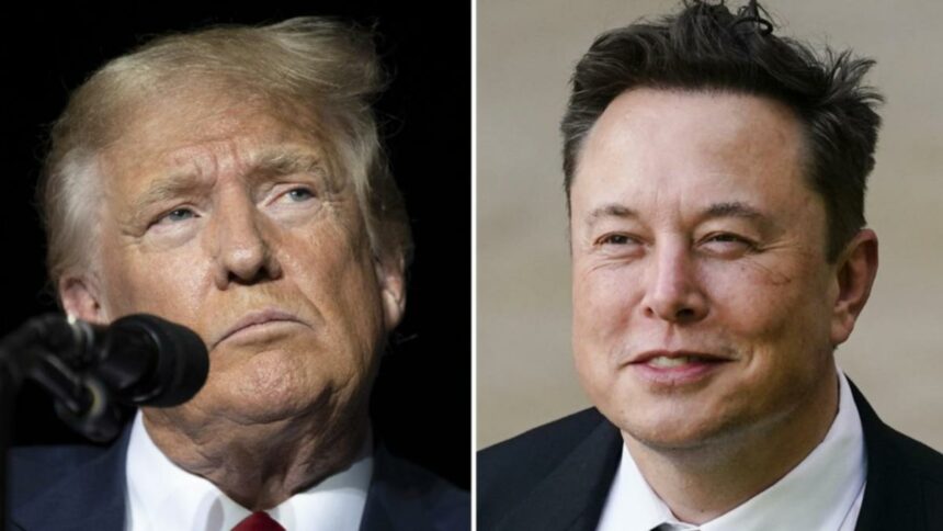 Donald Trump, Elon Musk interview on X: Internet erupts as X platform displays ‘details not available’ screen