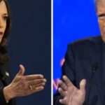 Donald Trump blames Kamala Harris and Joe Biden for stock market meltdown after taking credit for past upswing