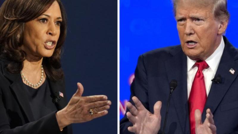 Donald Trump blames Kamala Harris and Joe Biden for stock market meltdown after taking credit for past upswing