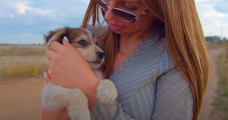 Dumped Puppy Grabs Woman And Asks To Go Home With
Her