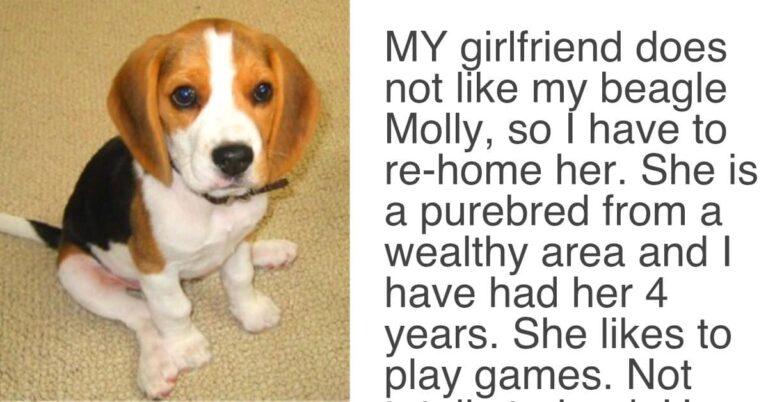 Girlfriend Gave Her Partner An ‘Ultimatum’, Demands Either
“The Dog Goes” Or “She Goes”