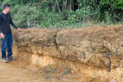 Gold Mountain reaps rare earths from Brazilian roadcut