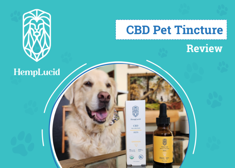 HempLucid Pet CBD Tincture Review 2024: An Expert’s
Breakdown