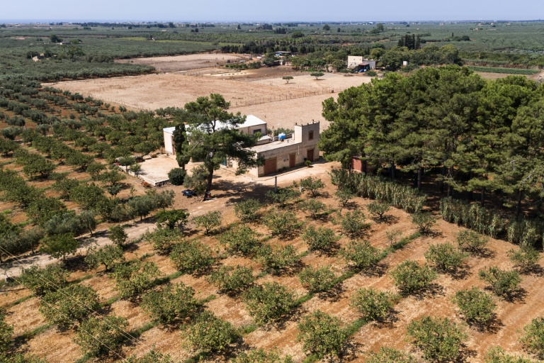 Local farmers say decades of incompetent water management has led to a situation in which they can't use rainwater from reservoirs