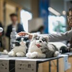 Artificial intelligence is used to develop all sorts of applications, including controlling robotic pets