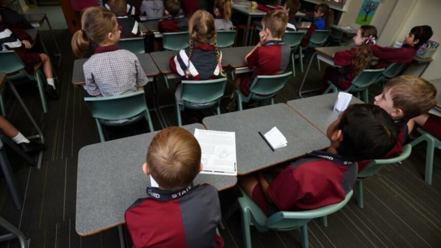 NAPLAN results stable, demographic disparities linger