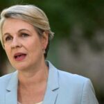 Nature Positive: Tanya Plibersek in talks with Coalition and Greens over controversial federal EPA