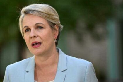 Nature Positive: Tanya Plibersek in talks with Coalition and Greens over controversial federal EPA