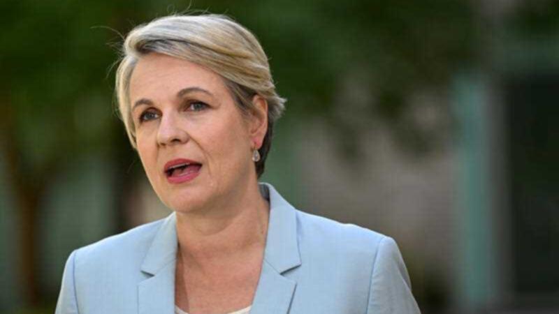 Nature Positive: Tanya Plibersek in talks with Coalition and Greens over controversial federal EPA