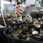 The Gijin Seafood Factory uses around 100 tonnes of oyster shells a year to churn out around 900 tonnes of Seawool, a trademarked and patented fabric