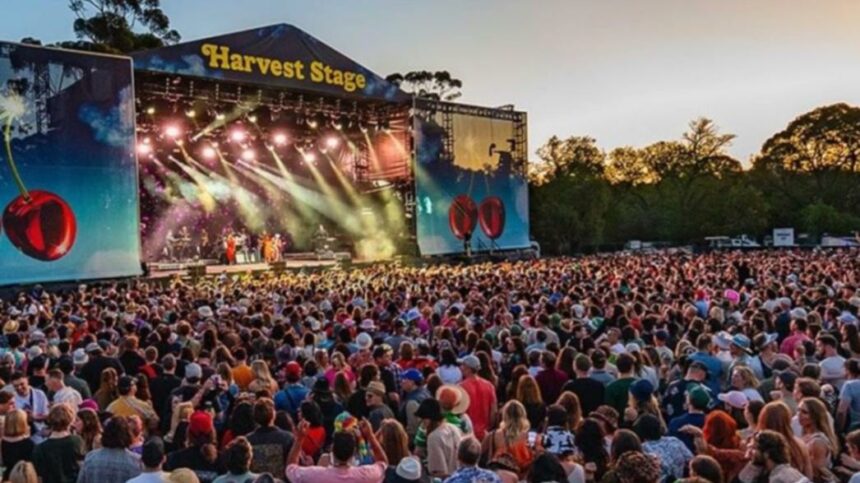 Popular SA music festival Harvest Rock cancels 2024 show