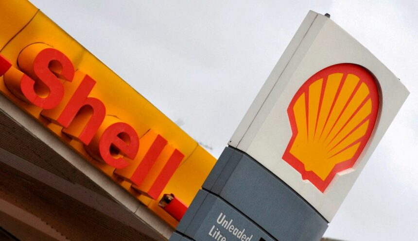 The Royal Dutch Shell logo is seen at a Shell petrol station in London, January 31, 2008.