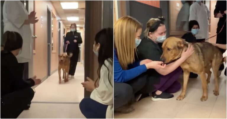 Shelter Dog Gives Goodbye Kisses To Every Staff Member On
His Way Out