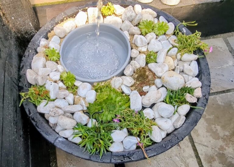 Turning My Messy Drinker Into a Self-Watering Masterpiece
(with Video)