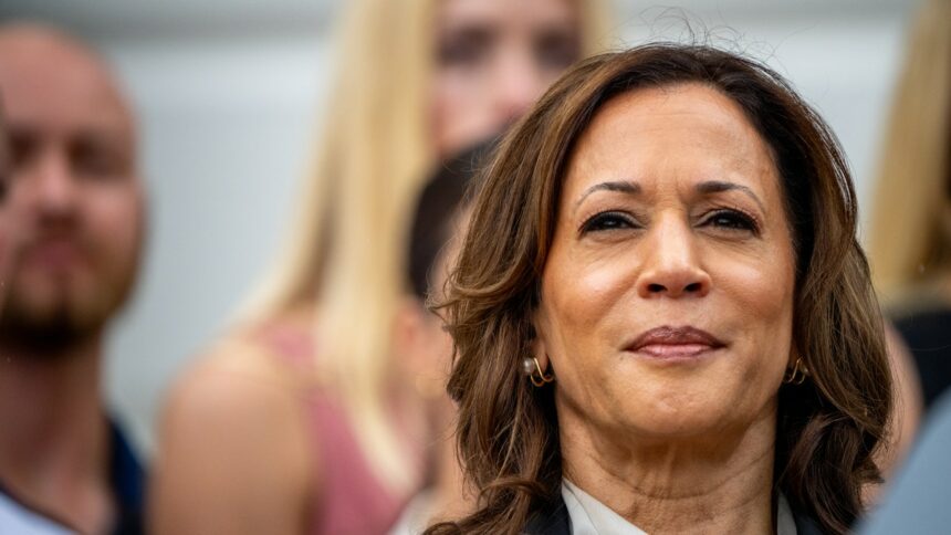 Who Will Be Kamala Harris’s Veep Pick? Here Are the Finalists