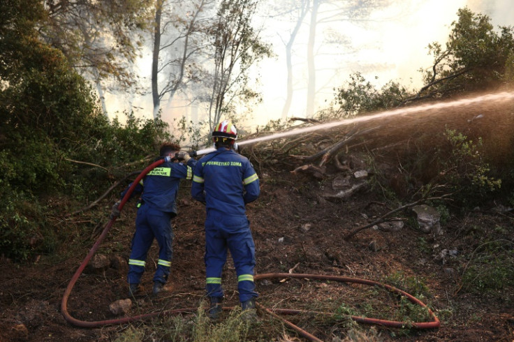 Firefighters sprayed water to try to extinguish a wildfire in Grammatikos region