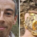 ‘Life changing’: Aussie’s wild $100k discovery