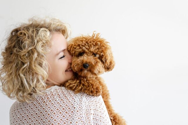 10 Breeds That Speak Your Love Language