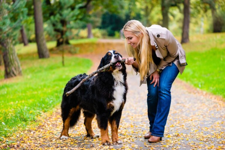 10 Dog Breeds That Can Help Prepare You For
Parenthood