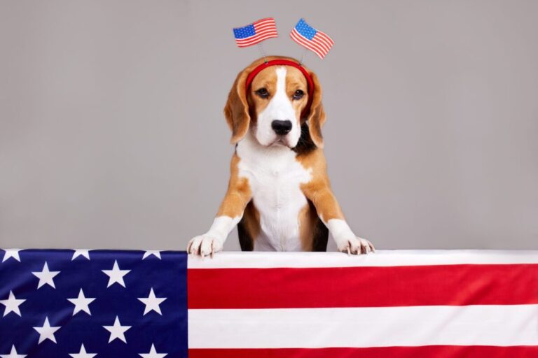 12 Dog Breeds Most Likely To Be Elected President