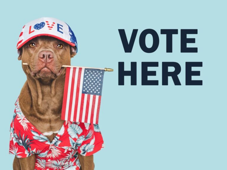 17 Dog Breeds That Would Make The Best U.S.
President