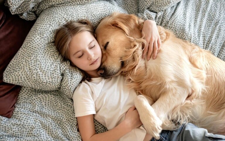 7 Dog Breeds That Are The Perfect Snuggle Buddies On A Cozy
Night