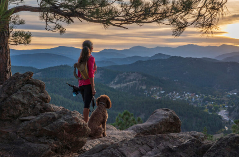 9 Signs Your Dog Is Trying to Make You More
Adventurous