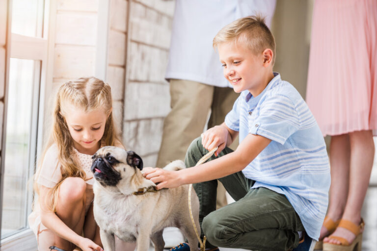 Are Pugs Good with Kids? Facts &amp; Info