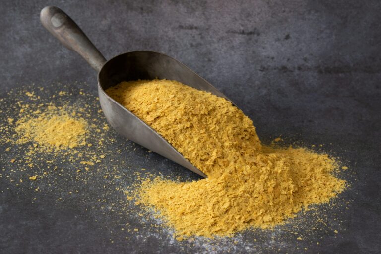 Can Dogs Eat Nutritional Yeast? Vet-Verified Nutrition Facts
&amp; Info