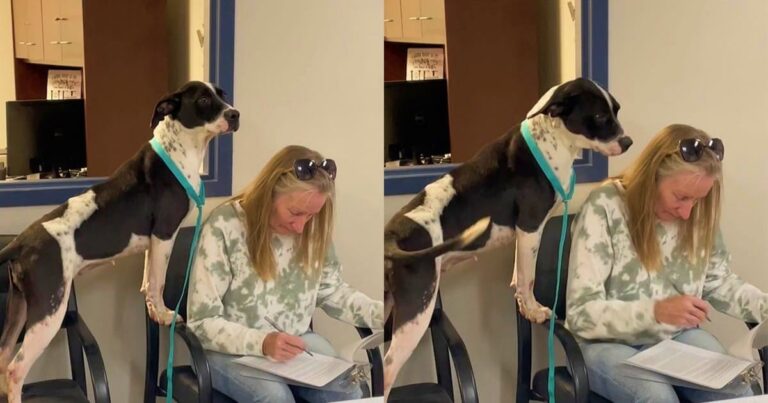 Dog Stands Over New Mom As She Signs Adoption Papers