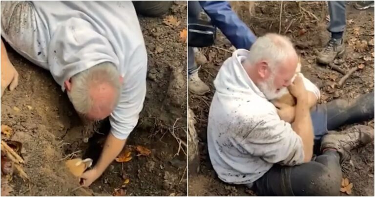 Man Crumbled In Tears When His Lost Dog Was Found In
Foxhole