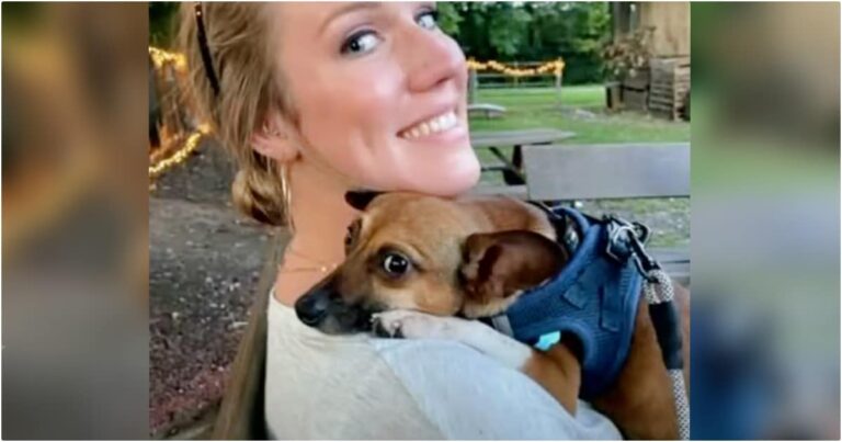 Nurse Takes In Terminal Patient’s Dog So He Doesn’t End Up
In Shelter