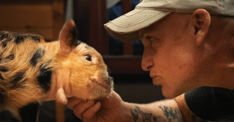 Special Needs Piglet Overflows with Joy When He Meets His
Lifesaving Hero