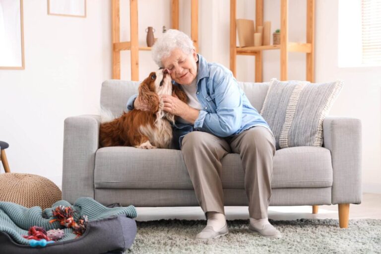 11 Senior-Friendly Dog Breeds for Companionship and
Comfort