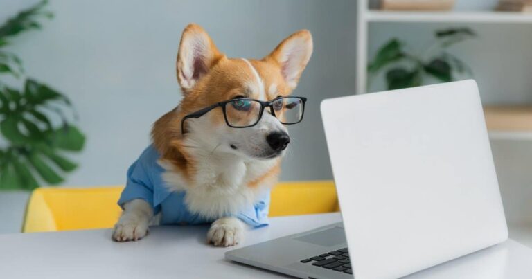 15 Dog Breeds That Make Great Office Companions