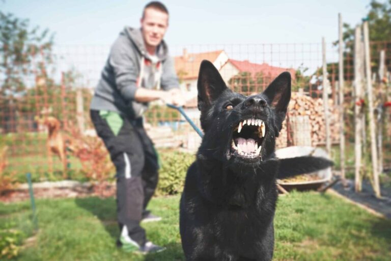 15 Scariest Dog Breeds with a Fierce Reputation