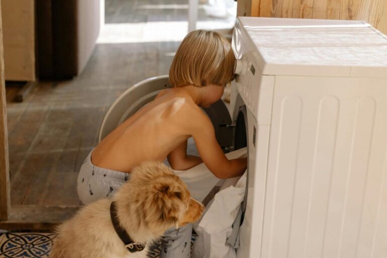 15 Surprising Motivations Behind Dogs Stealing Dirty
Laundry