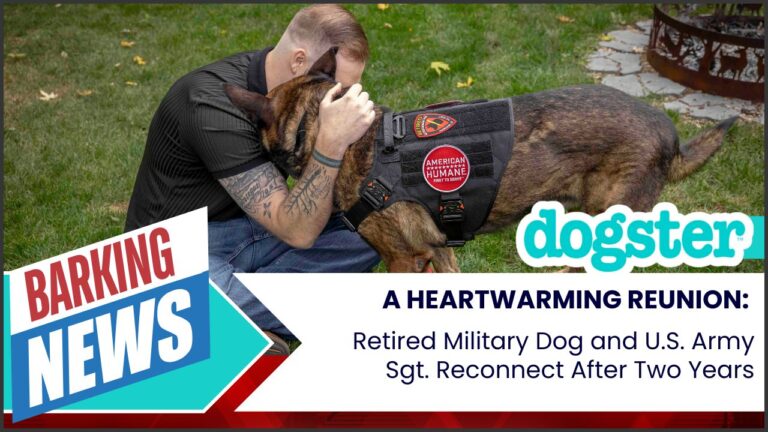 A Heartwarming Reunion: Retired Military Dog and U.S. Army
Sgt. Reconnect After Two Years