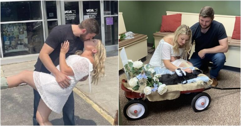 Couple Has ‘Last Minute’ Wedding At Vet’s Office So Their
Dog Could Attend