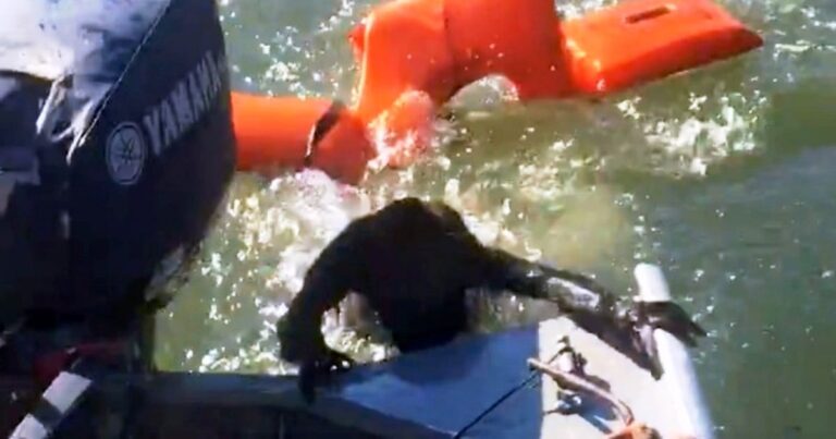 Fisherman Throws A Life Jacket To Save A Drowning Dog But It
Is Not-A-Dog At All