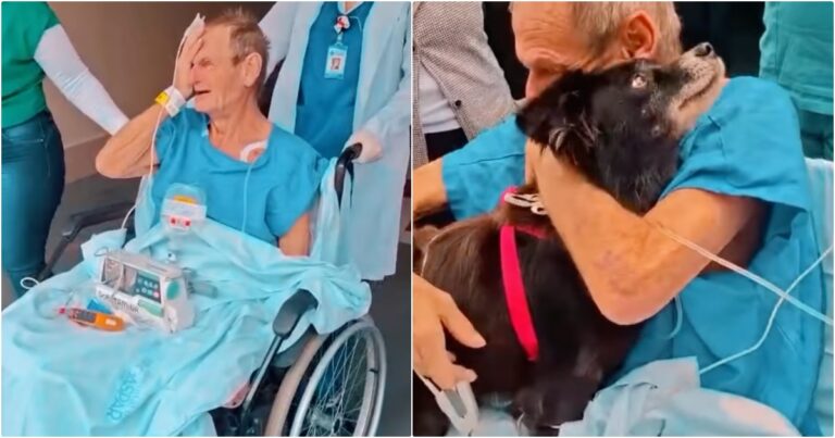 Hospitalized Man Lost Will To Live, Finds Strength When His
Dog Comes To Visit