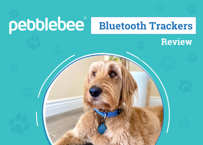 Pebblebee Bluetooth Tracker Reviews 2024: An Expert’s
Breakdown