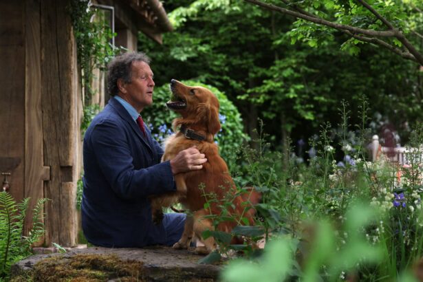 Monty Don with dogs in the RHS Dog Garden at Chelsea Flower Show surrounded by clover and daisies.
